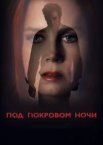 Під покровом ночі