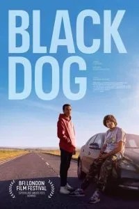 Black Dog
