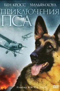 Пригоди пса