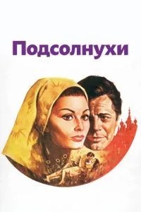 Соняшники