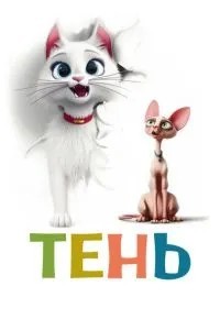 Тінь