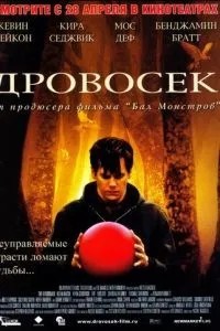 Дроворуб