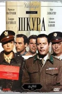 Шкіра