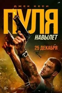 Куля навиліт
