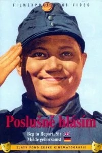 Швейк на фронті