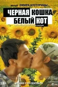 Чорна кішка, білий кіт
