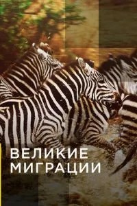 Великі міграції