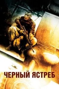 Чорний яструб