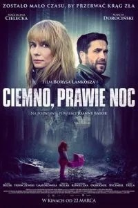 Темно, майже ніч