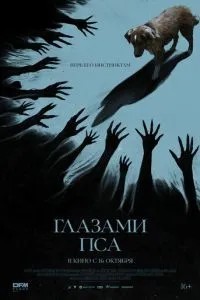 Очі пса