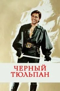 Чорний тюльпан