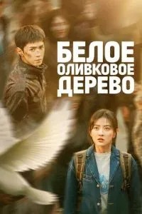Біле оливкове дерево