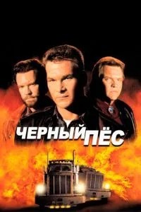 Чорний пес