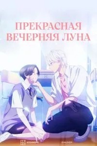 Прекрасний вечірній місяць