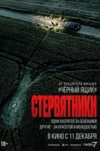 Стерв\'ятники