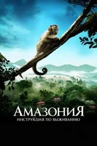 Амазонія: Інструкція з виживання