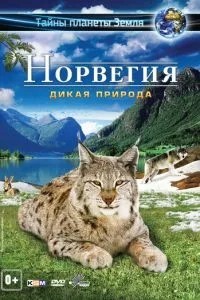 Норвегія 3D: Дика природа