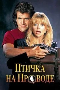 Пташка на дроті
