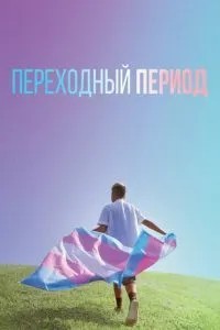 Перехідний період