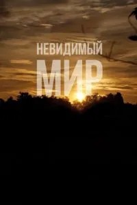 Невидимий світ
