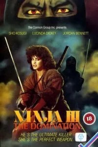 Ніндзя III: Панування