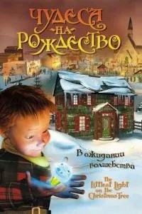 Чудеса на Різдво