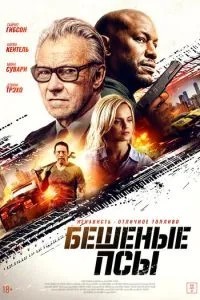 Шалені пси