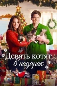 Дев'ять кошенят у подарунок