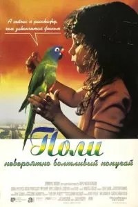Полі