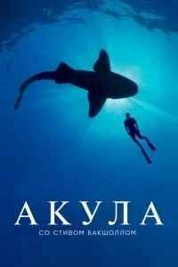 Акула зі Стівом Бакшоллом