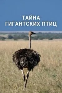 Таємниця гігантських птахів