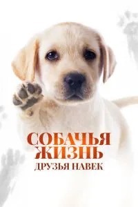 Собаче життя: Друзі навіки