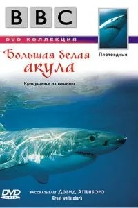 BBC: Велика біла акула