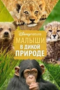 Діти в дикій природі