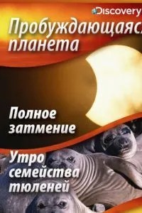 Пробуджується планета