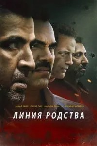 Лінія спорідненості