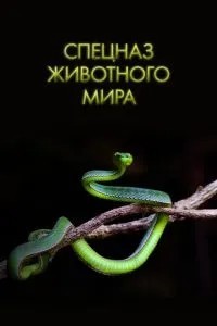 Спецназ тваринного світу