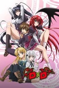 Старша школа DxD