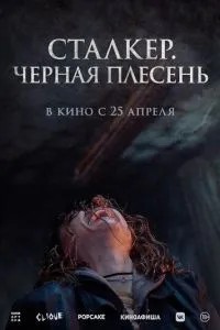 Сталкер. Чорна пліснява