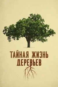 Таємне життя дерев