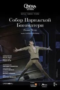 Собор Паризької Богоматері