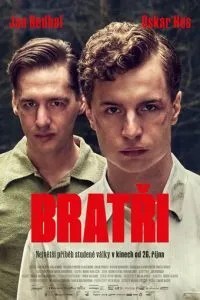 Брати