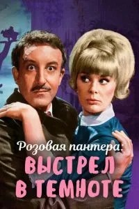 Постріл у темряві