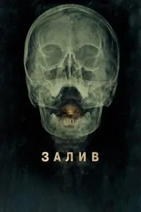 Затока