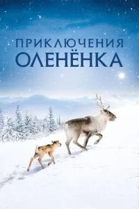 Пригоди оленя
