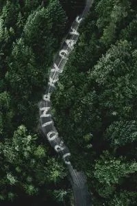 Звичайні дні