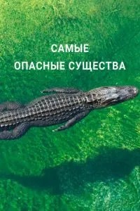 Найнебезпечніші істоти