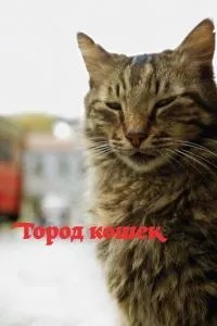 Місто котів