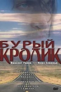 Бурий кролик