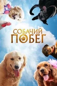 Собача втеча